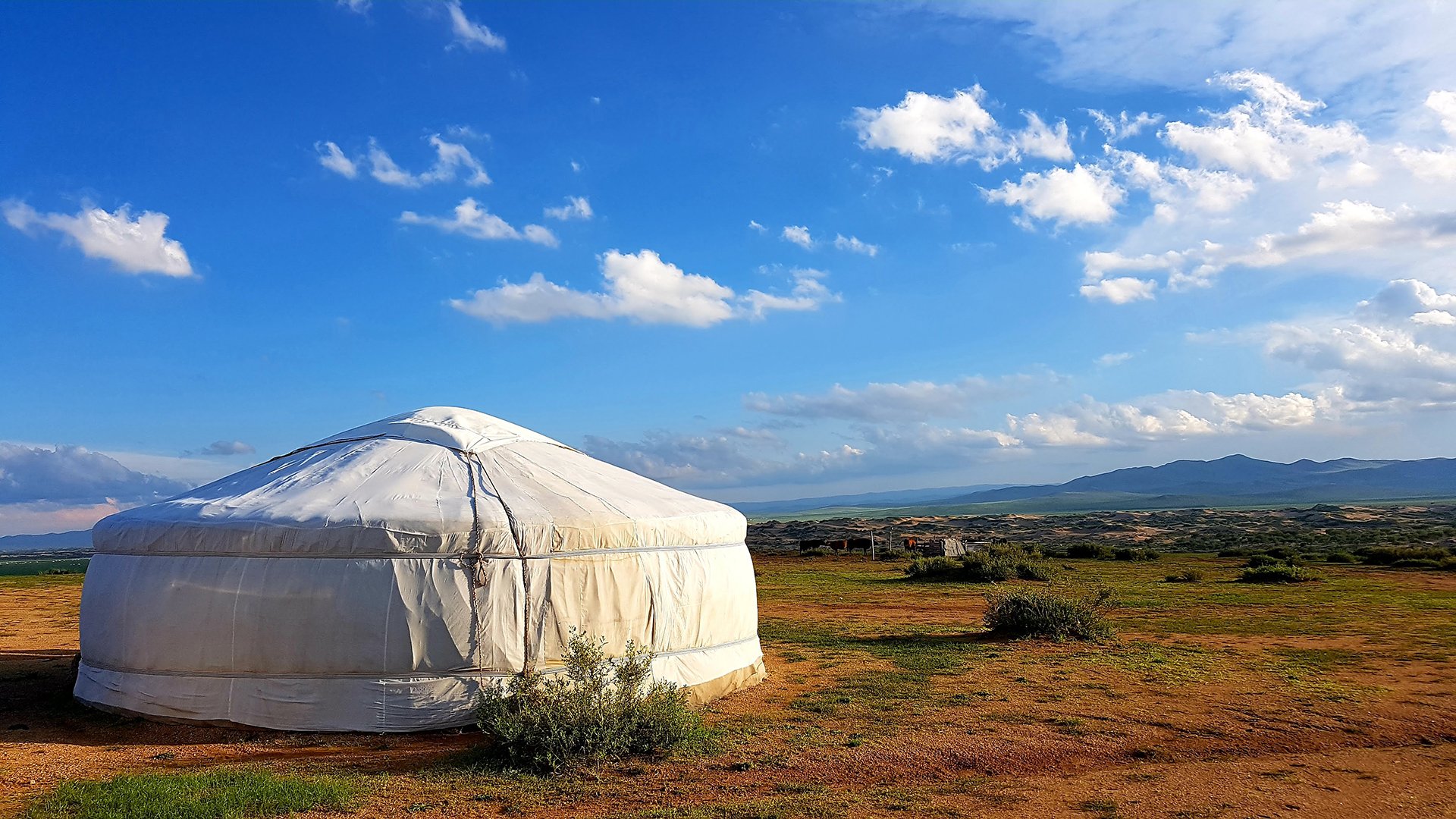 ke-jantung-asia-petualangan-epik-di-mongolia